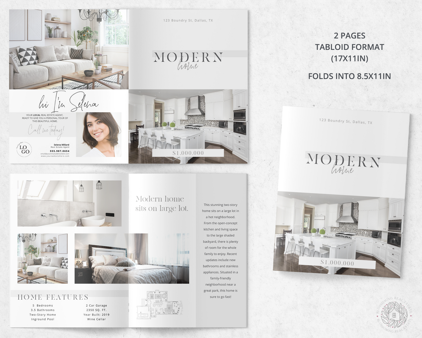 Tabloid Property Feature Sheet